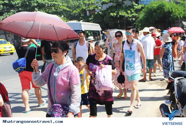 Nha Trang Xử Phạt Hàng Loạt Doanh Nghiệp hành trình Trong 6 Tháng Đầu Năm - Ảnh 1 Nha Trang Xử Phạt Hàng Loạt Doanh Nghiệp hành trình Trong 6 Tháng Đầu Năm - Ảnh 1