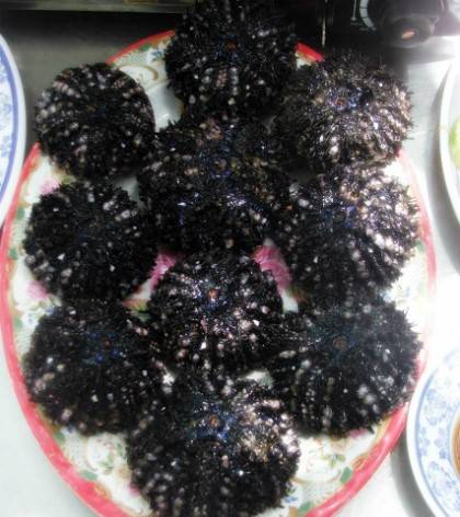 Nhum Nha Trang - Ảnh 2