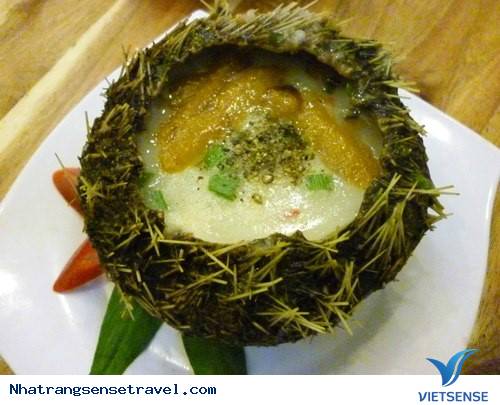 Nhum Nha Trang - Ảnh 1