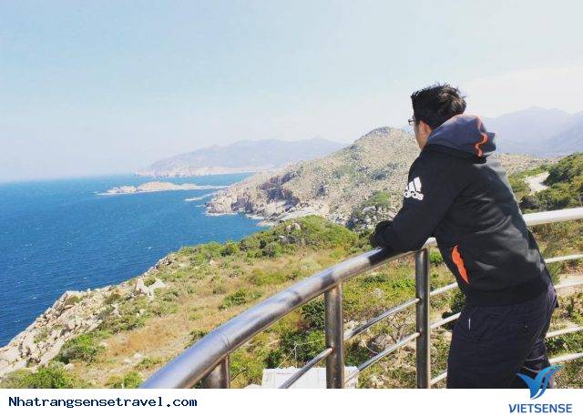 Những ấn tượng chỉ khi tới hải đăng Hòn Chút mới có được - Ảnh 9 Những ấn tượng chỉ khi tới hải đăng Hòn Chút mới có được - Ảnh 9