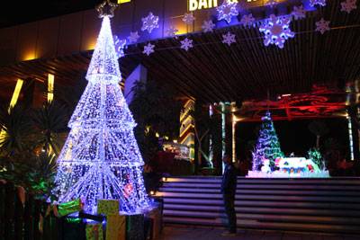 Những Cây Thông Đẹp Và Độc Đáo Ở Nha Trang - Ảnh 11 Những Cây Thông Đẹp Và Độc Đáo Ở Nha Trang - Ảnh 11