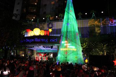 Những Cây Thông Đẹp Và Độc Đáo Ở Nha Trang - Ảnh 1 Những Cây Thông Đẹp Và Độc Đáo Ở Nha Trang - Ảnh 1