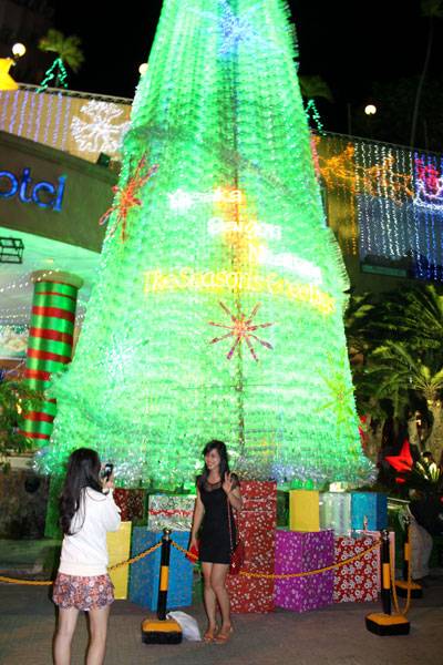 Những Cây Thông Đẹp Và Độc Đáo Ở Nha Trang - Ảnh 2 Những Cây Thông Đẹp Và Độc Đáo Ở Nha Trang - Ảnh 2