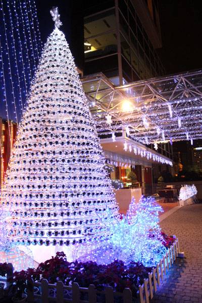 Những Cây Thông Đẹp Và Độc Đáo Ở Nha Trang - Ảnh 4 Những Cây Thông Đẹp Và Độc Đáo Ở Nha Trang - Ảnh 4