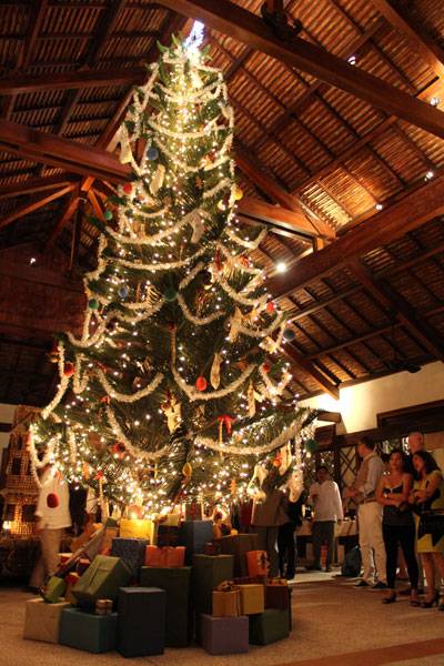 Những Cây Thông Đẹp Và Độc Đáo Ở Nha Trang - Ảnh 7 Những Cây Thông Đẹp Và Độc Đáo Ở Nha Trang - Ảnh 7