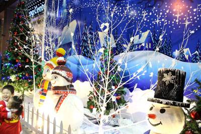 Những Cây Thông Đẹp Và Độc Đáo Ở Nha Trang - Ảnh 9 Những Cây Thông Đẹp Và Độc Đáo Ở Nha Trang - Ảnh 9