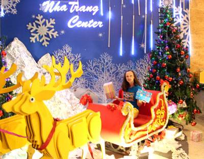 Những Cây Thông Đẹp Và Độc Đáo Ở Nha Trang - Ảnh 10 Những Cây Thông Đẹp Và Độc Đáo Ở Nha Trang - Ảnh 10