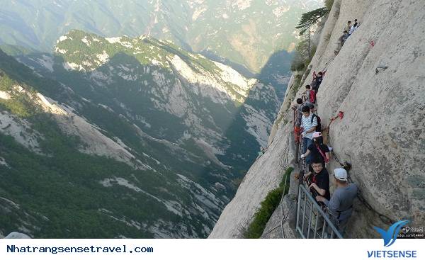 Con Dường Ván Hoa Sơn Trung Quốc