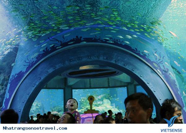 Viện Hải Dương Học Nha Trang