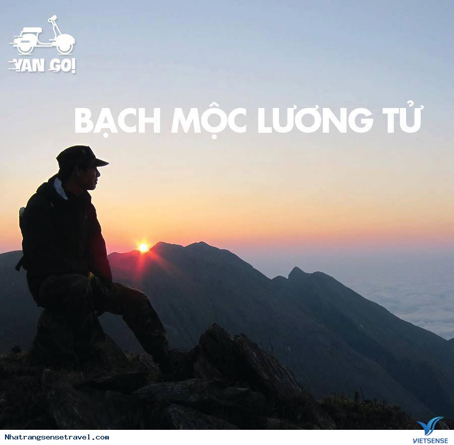 Bạch Mộc Lương Tử Bạch Mộc Lương Tử