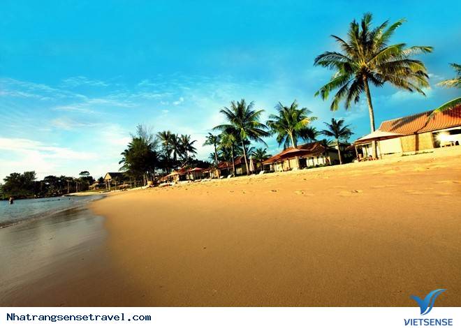 Những Điểm Đến hành trình Đừng Bỏ Lỡ Cho Tháng 3 An Lành - Ảnh 4