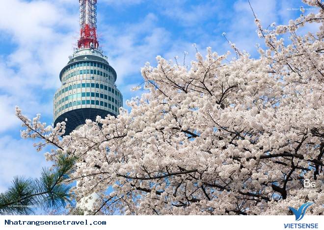 Những Điểm Đến hành trình Đừng Bỏ Lỡ Cho Tháng 3 An Lành - Ảnh 8