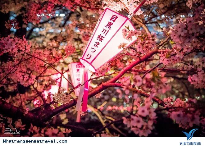 Những Điểm Đến hành trình Đừng Bỏ Lỡ Cho Tháng 3 An Lành - Ảnh 7