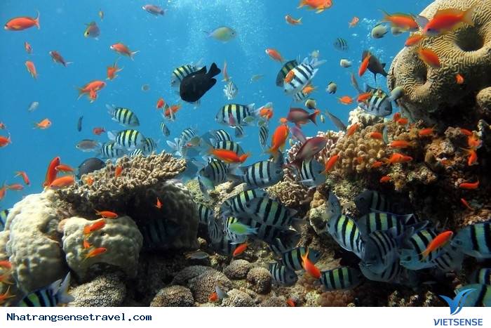 Côn Đảo - Ảnh 2