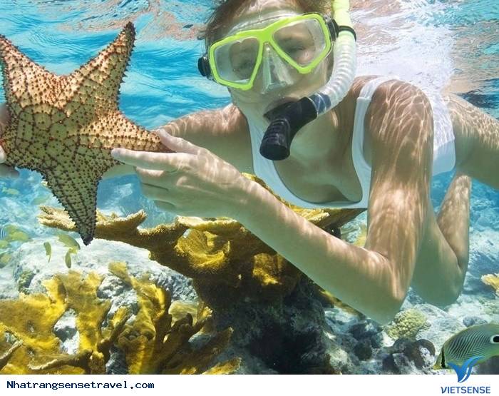 Bán đảo Sơn Trà - Ảnh 2