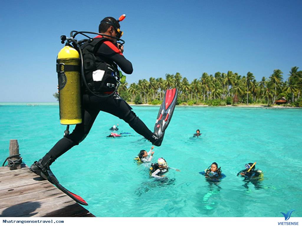 Những Điều Cần Lưu Ý Khi Lặn Biển Ngắm San Hô - Ảnh 3