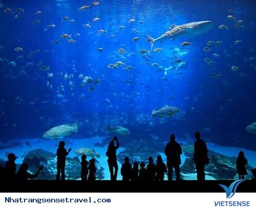 Vui chơi dưới lòng đất Vui chơi dưới lòng đất