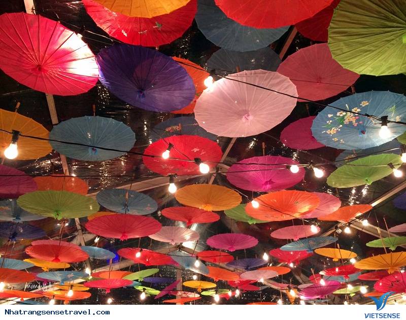 Những Khẩu Hiệu hành trình Truyền Cảm Hứng Cho Mọi Chuyến Đi 2025 - Ảnh 6