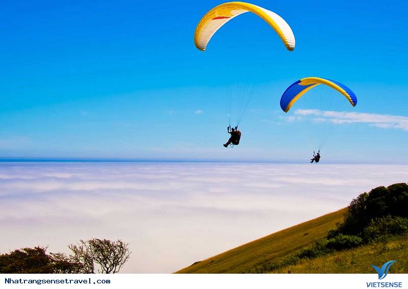 Những Khẩu Hiệu hành trình Truyền Cảm Hứng Cho Mọi Chuyến Đi 2025 - Ảnh 10