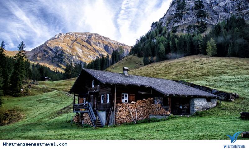 Những Khẩu Hiệu hành trình Truyền Cảm Hứng Cho Mọi Chuyến Đi 2025 - Ảnh 7