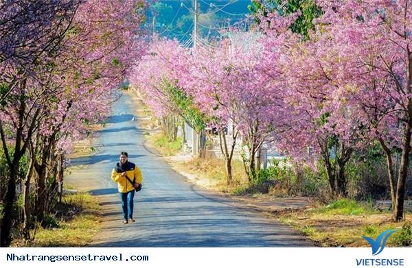 Những Nơi Lý Tưởng Nhất Xả Stress Cùng Lũ Bạn Sau Kỳ Thi - Ảnh 2 Những Nơi Lý Tưởng Nhất Xả Stress Cùng Lũ Bạn Sau Kỳ Thi - Ảnh 2