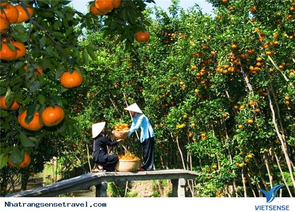 Những Nơi Lý Tưởng Nhất Xả Stress Cùng Lũ Bạn Sau Kỳ Thi - Ảnh 10