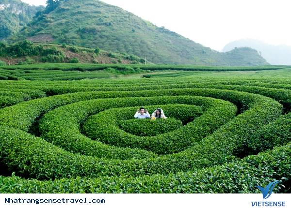 Những Nơi Lý Tưởng Nhất Xả Stress Cùng Lũ Bạn Sau Kỳ Thi - Ảnh 5 Những Nơi Lý Tưởng Nhất Xả Stress Cùng Lũ Bạn Sau Kỳ Thi - Ảnh 5