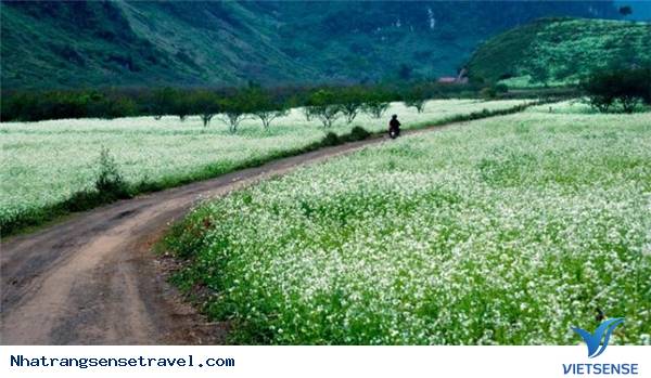 Những Nơi Lý Tưởng Nhất Xả Stress Cùng Lũ Bạn Sau Kỳ Thi - Ảnh 4 Những Nơi Lý Tưởng Nhất Xả Stress Cùng Lũ Bạn Sau Kỳ Thi - Ảnh 4