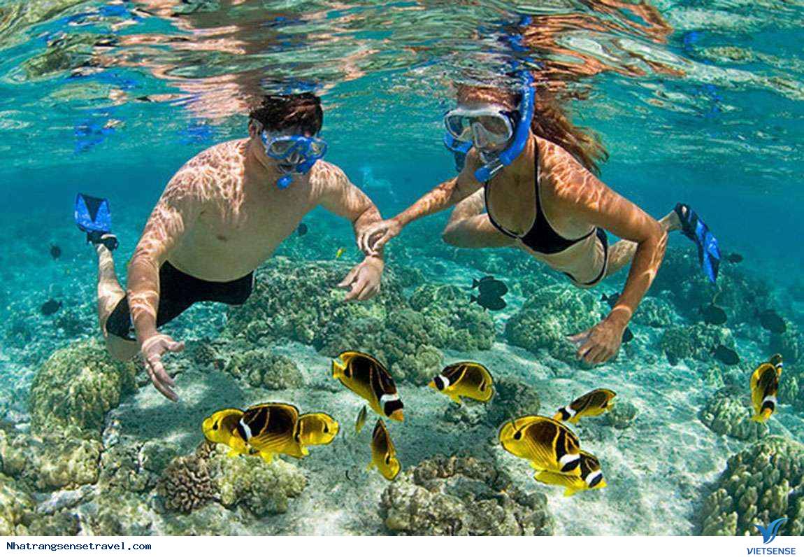 Những rạn san hô tuyệt đẹp Những rạn san hô tuyệt đẹp