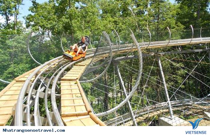 Alpine Coaster Alpine Coaster