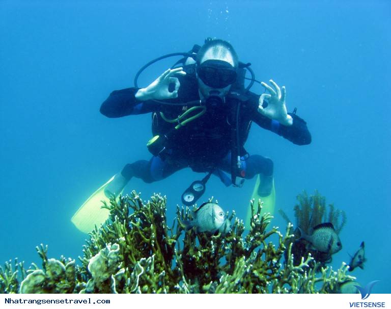 lặn biển3 lặn biển
