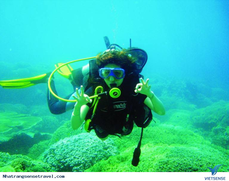 Lặn biển2 Lặn biển