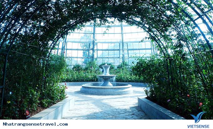 Say đắm hương sắc vườn hồng 999 đóa tại vườn yêu Vinpearl - Ảnh 8