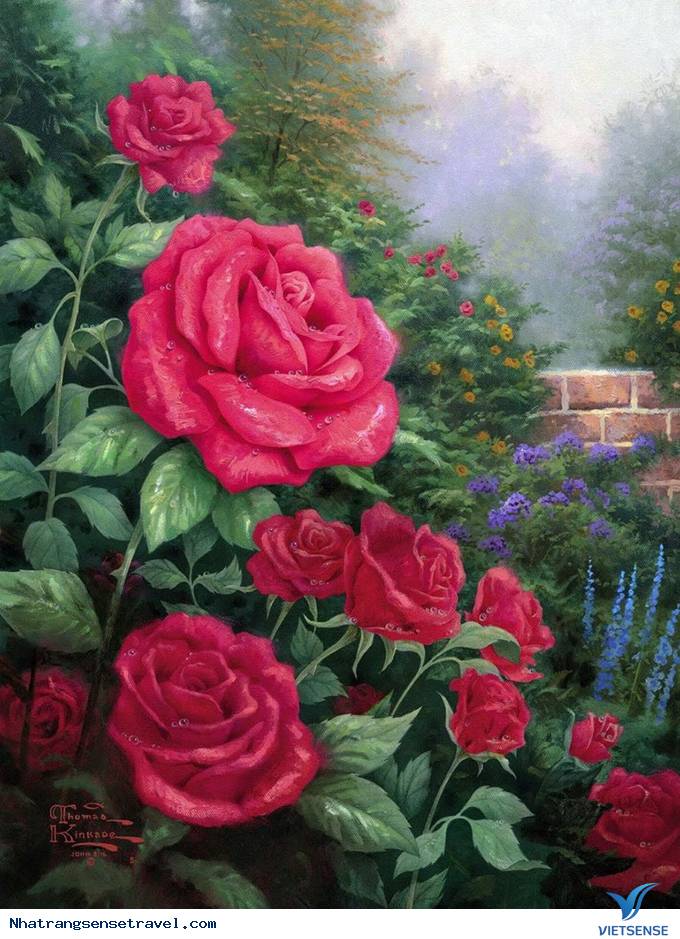 Say đắm hương sắc vườn hồng 999 đóa tại vườn yêu Vinpearl - Ảnh 9