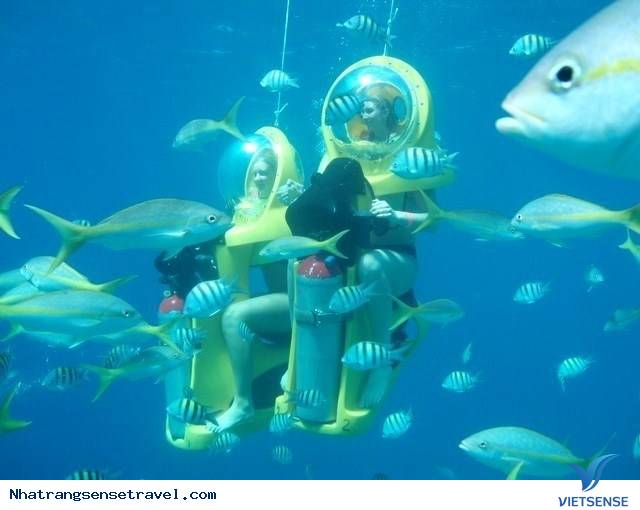 Sealife Bãi Dài Nha Trang 