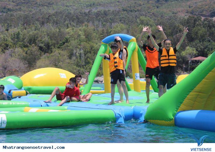 Sealife Bãi Dài Nha Trang 