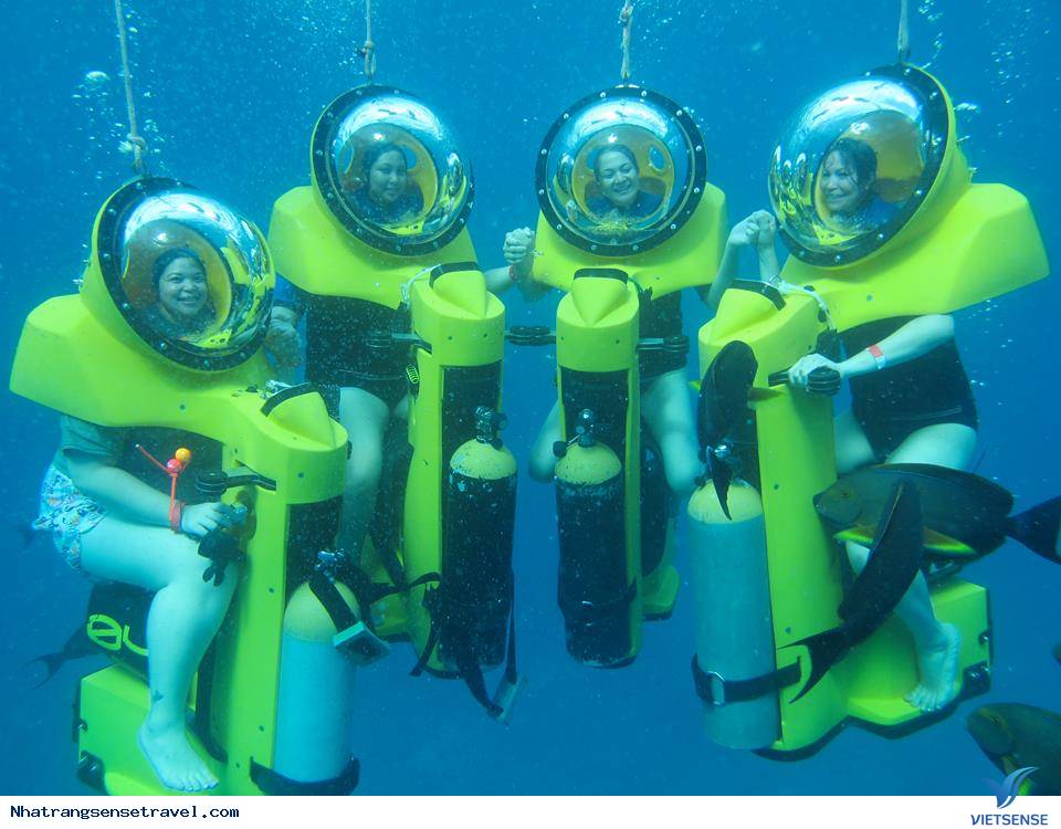 Sealife Bãi Dài Nha Trang 