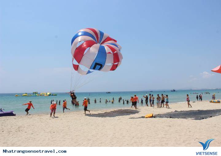 Sealife Bãi Dài Nha Trang 