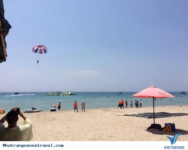 Sealife Bãi Dài Nha Trang – Khu Vui Chơi Trên Biển Cực Hoành Tráng - Ảnh 13