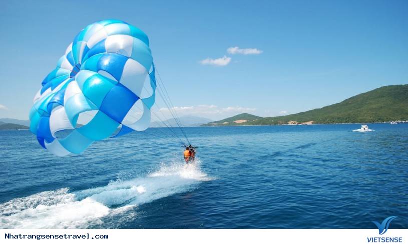 Sealife Bãi Dài Nha Trang 