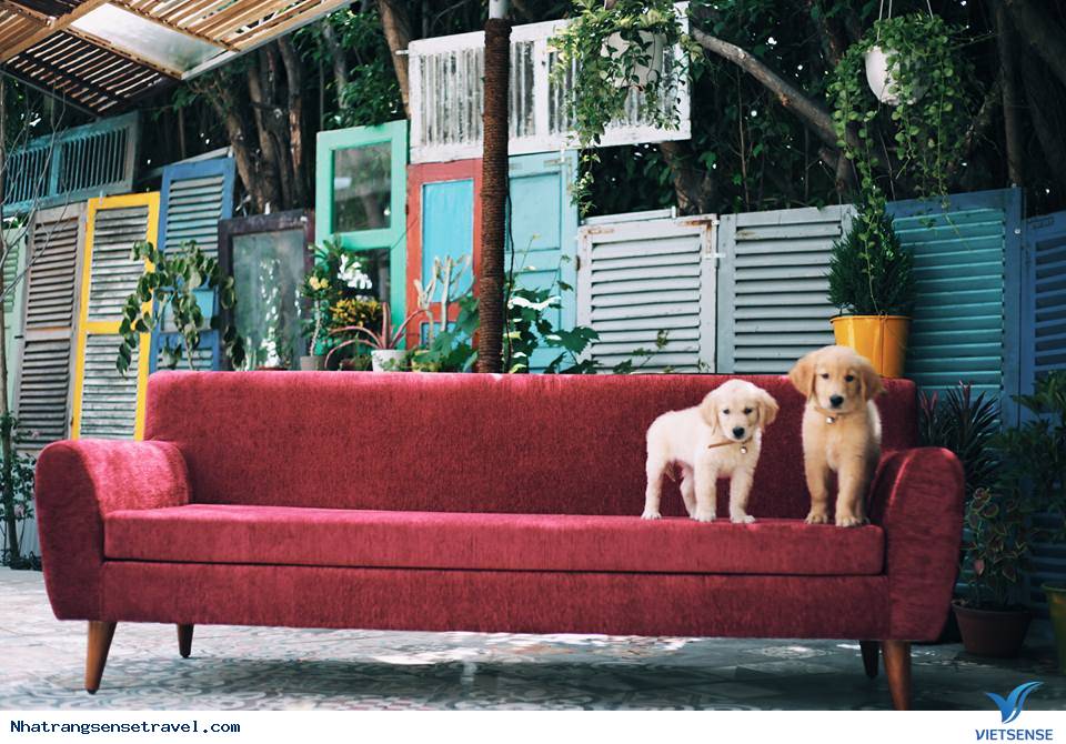 S:House - Homestay Xinh Lung Linh Ở Nha Trang Đốn Tim Giới Trẻ - Ảnh 13