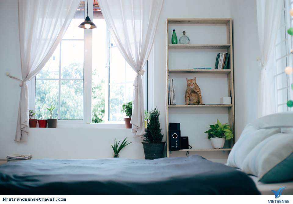 S:House - Homestay Xinh Lung Linh Ở Nha Trang Đốn Tim Giới Trẻ - Ảnh 7