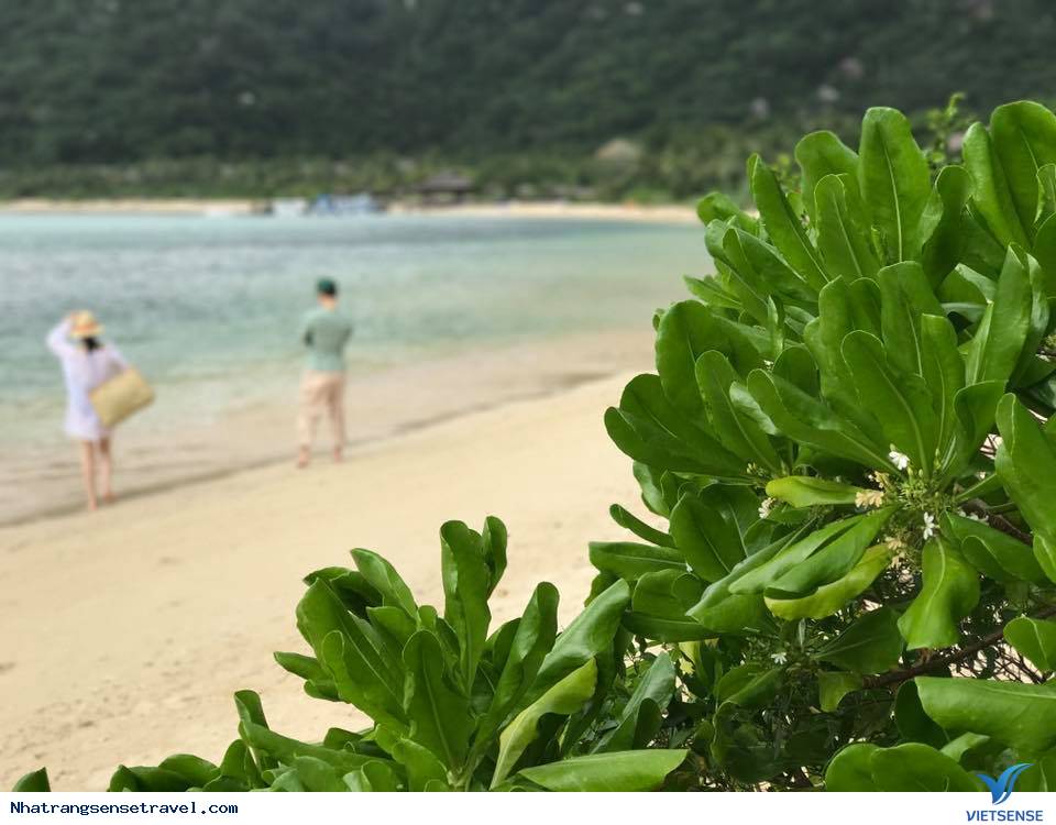 Six Senses Ninh Vân Bay - Nghỉ Dưỡng Theo Phong Cách Thượng Lưu - Ảnh 14