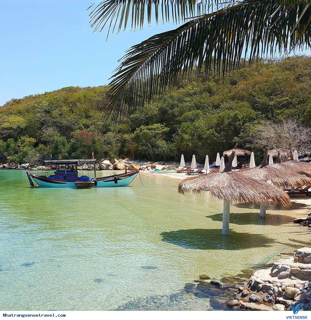 Tại sao gọi là Con Sẻ Tre?