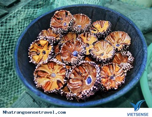 Tại Sao Nên Đặt Chân Đến Đảo Bình Ba Một Lần Trong Đời - Ảnh 7