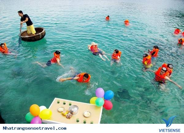 Tại Sao Nên Đặt Chân Đến Đảo Bình Ba Một Lần Trong Đời - Ảnh 11