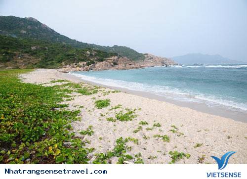 Thăm Đảo Bình Ba Ngày Đông - Ảnh 4 Thăm Đảo Bình Ba Ngày Đông - Ảnh 4