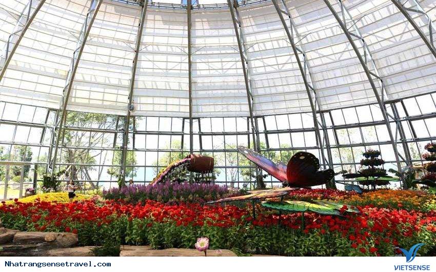 Tham quan đồi Vạn Hoa ở Vinpearl Nha Trang Tham quan đồi Vạn Hoa ở Vinpearl Nha Trang