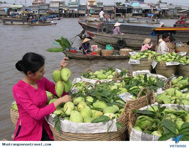 Tháng 7 Ghé Qua Miền Tây - Mùa Trái Cây Vào Hạ - Ảnh 3