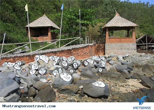 Thông tin về Con Sẻ Tre - Ảnh 2